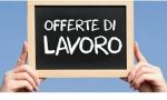 LAVORO: Nuove opportunità al Centro Impiego