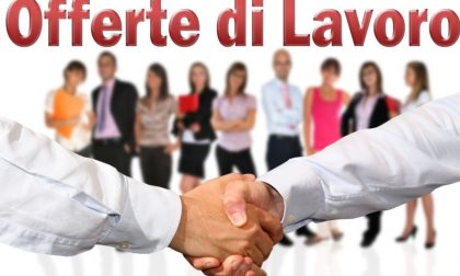 LAVORO: le offerte del Centro Impiego di Vercelli