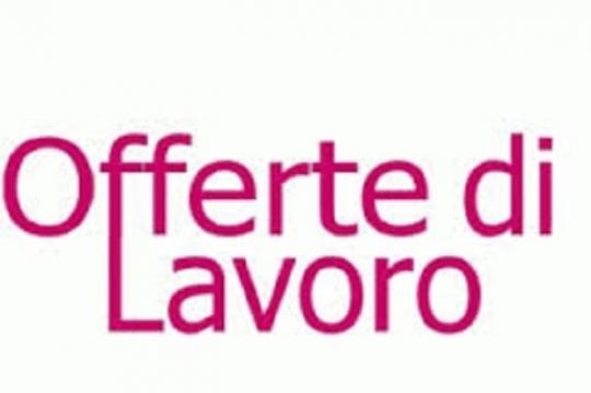 LAVORO: le ultime offerte del Centro Impiego