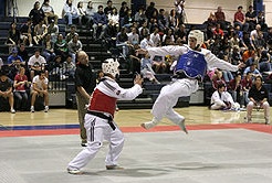 Le "volpi bianche" del Taekwondo brillano a Torino