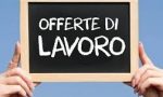 OFFERTE DI LAVORO NEL VERCELLESE