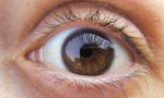 Glaucoma: visite gratuite per la prevenzione dell'Unione Ciechi