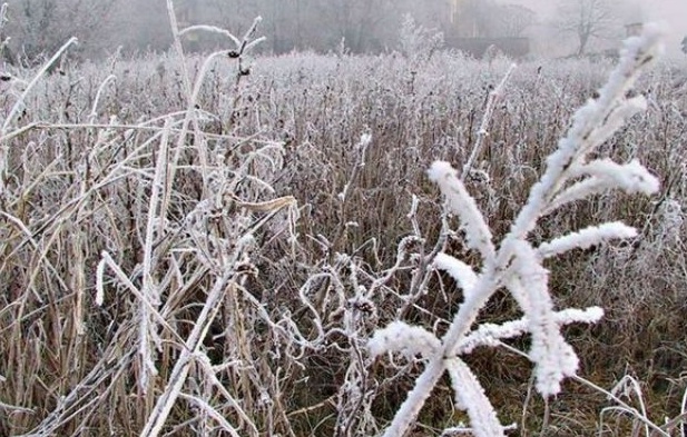 CLIMA: Notte sottozero anche nel vercellese