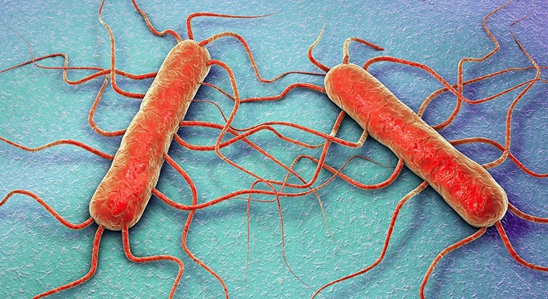 Grave rischio listeria in un lotto di salmone affumicato