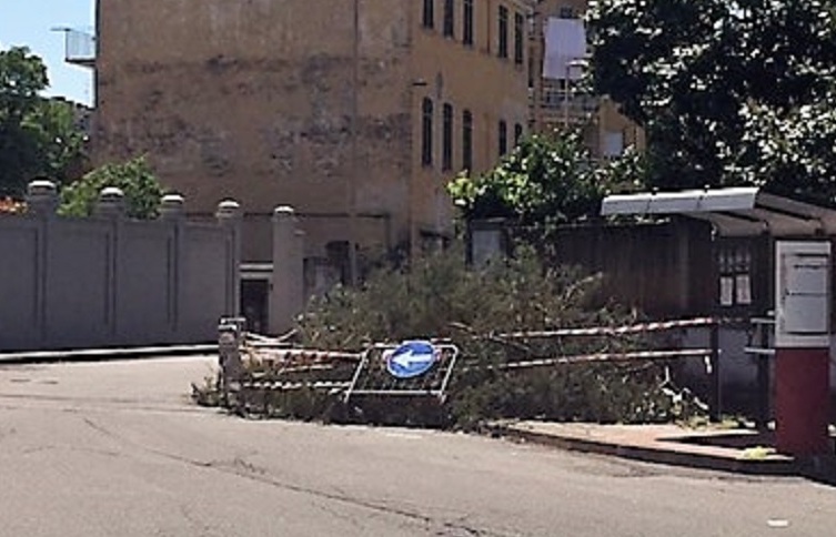In via Aravecchia ancora disagi per un albero caduto
