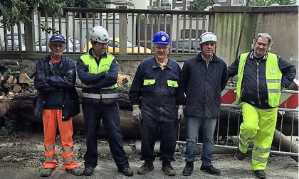 Messo in sicurezza l'albero ex Enal