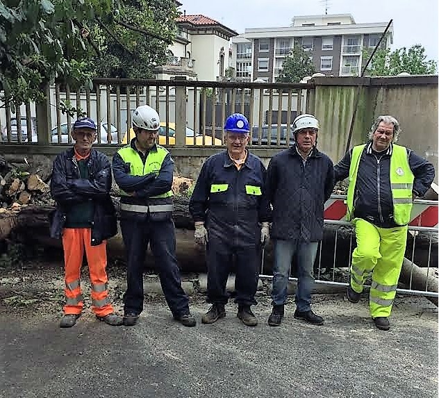 Messo in sicurezza l’albero ex Enal