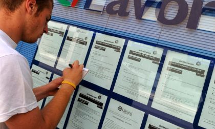 OFFERTE DI LAVORO