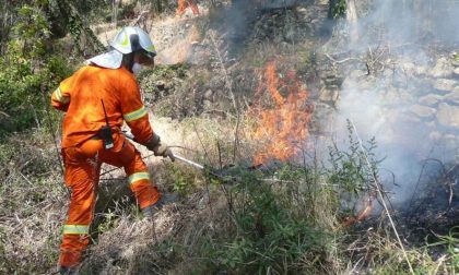 PIEMONTE: E' allarme incendi in tutta la regione