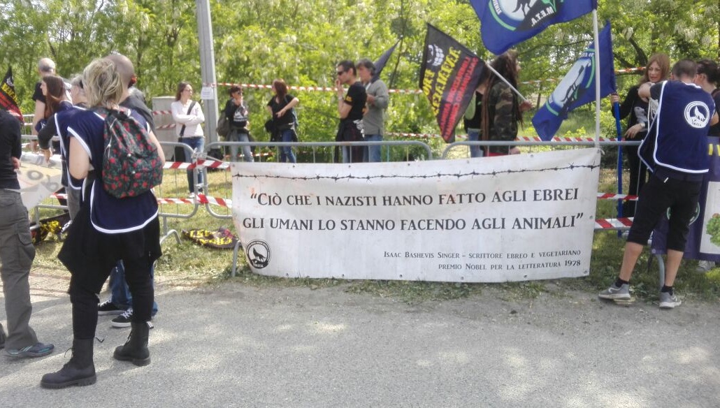 Proteste alla Corsa dei Buoi: partenza ritardata
