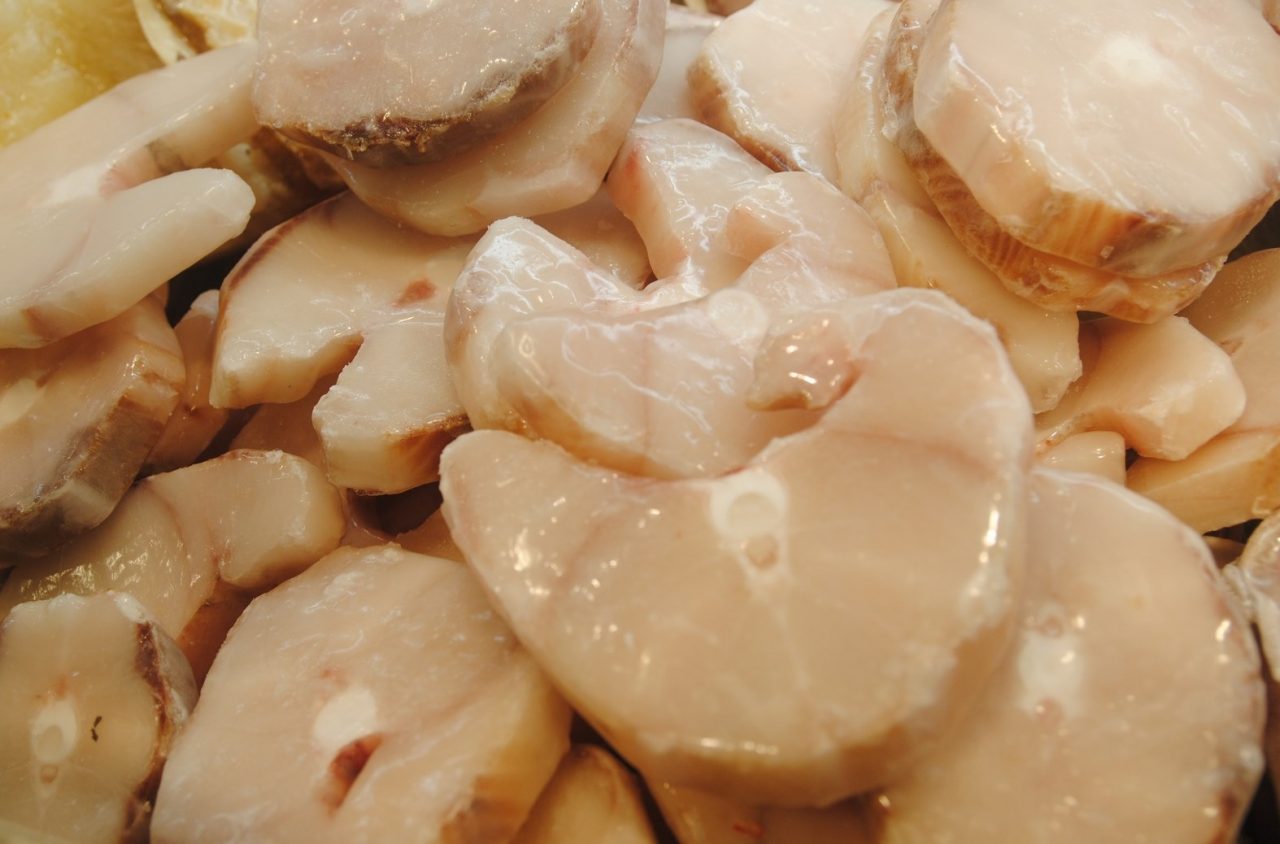 SALUTE: Verdesca del Portogallo contaminata