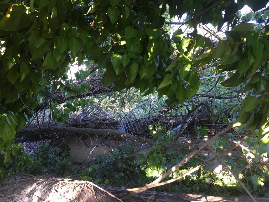 VERCELLI: da 3 giorni giardini senza via d’uscita!