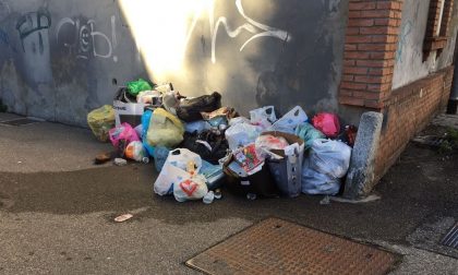 SPAZZATURA: Le multe non spaventano i furbi
