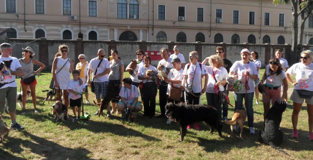 SPORT: Torna il mio fido mi sfida