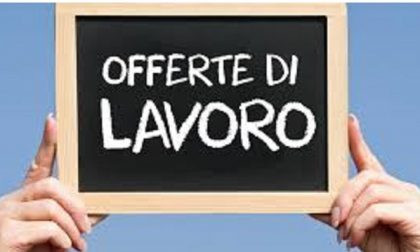 OFFERTE DI LAVORO AGGIORNATE