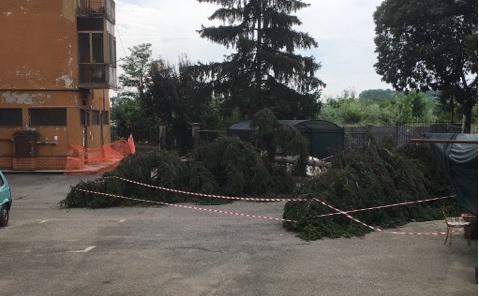 MALTEMPO: a Vercelli dopo la paura, si contano i danni