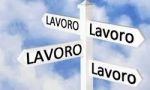 OFFERTE DI LAVORO SUL TERRITORIO