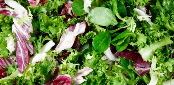 SALUTE: Non mangiate quell’insalata!
