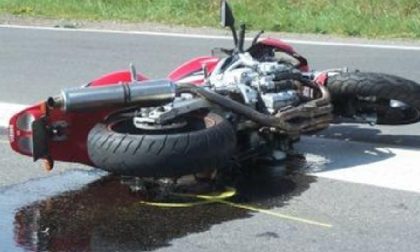 CRONACA: Motociclista contro un palo per schivare un gatto