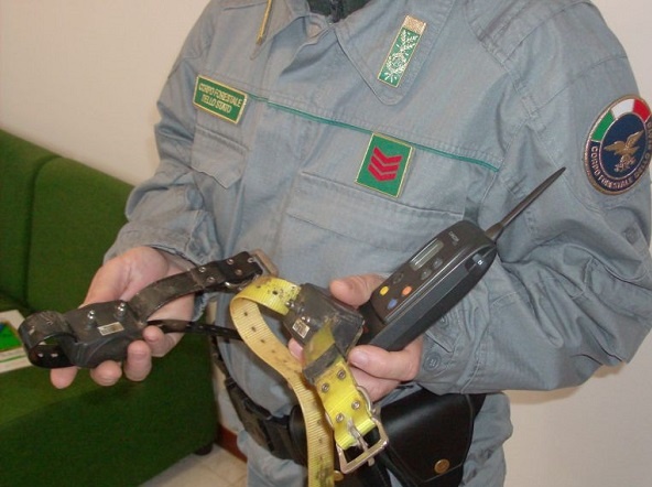CRONACA: addestrava il cane con scosse elettriche. Denunciato un uomo