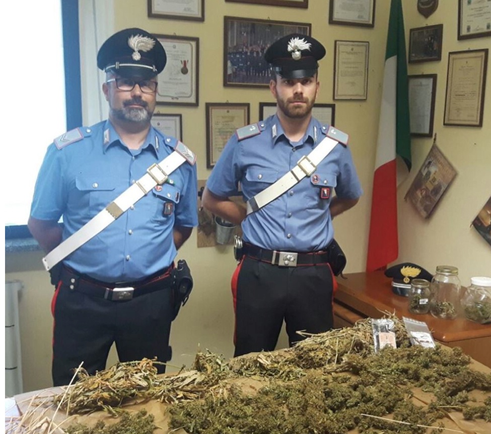 PALAZZOLO: Arrestato per 800 grammi di marijuana