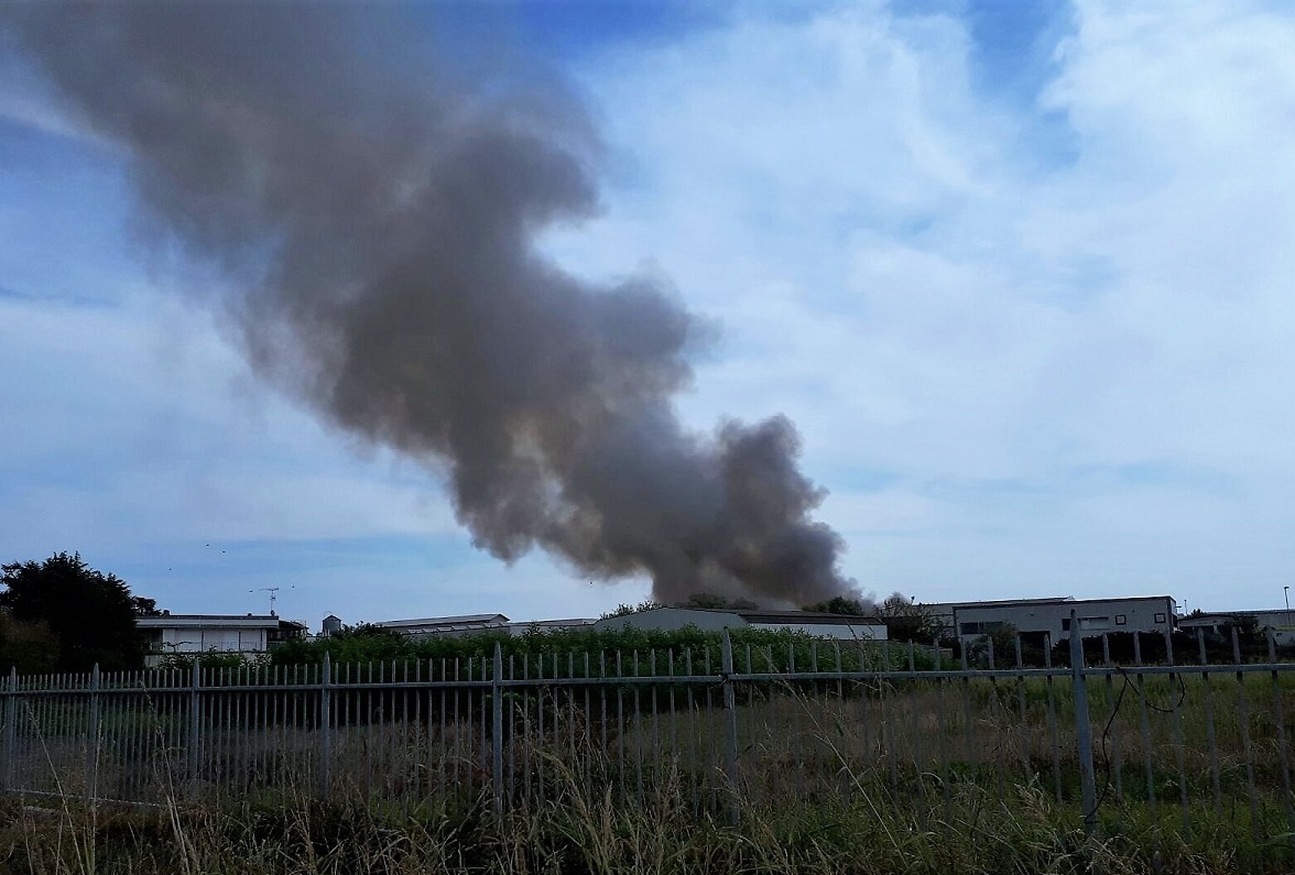 FOTO DI UN DISASTRO ECOLOGICO