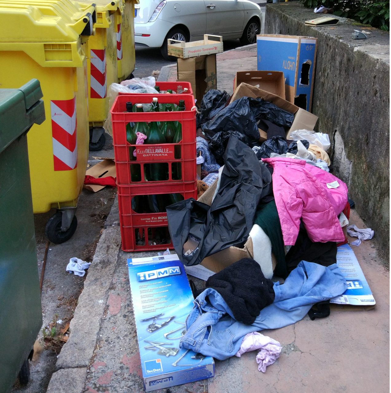MAIALI IN AZIONE IN VIA FAILLA