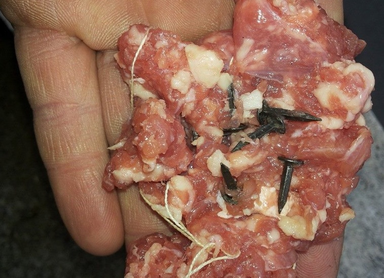 Polpette con chiodi contro i cani che sporcano