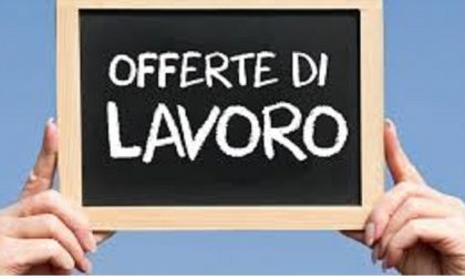 Offerte lavoro: nuovi profili ricercati a Vercelli e dintorni