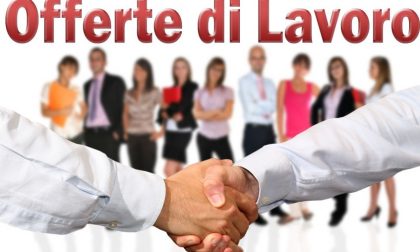 Offerte lavoro: alcuni dei profili attualmente ricercati a Vercelli e dintorni
