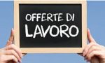 Offerta di lavoro: studio legale di Vercelli cerca segretaria/o