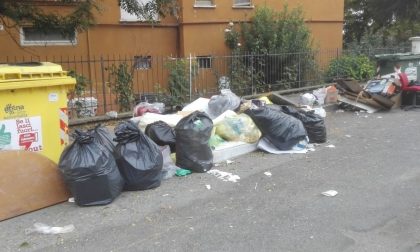 VERCELLI: Ripulita la discarica in via Zambeccari