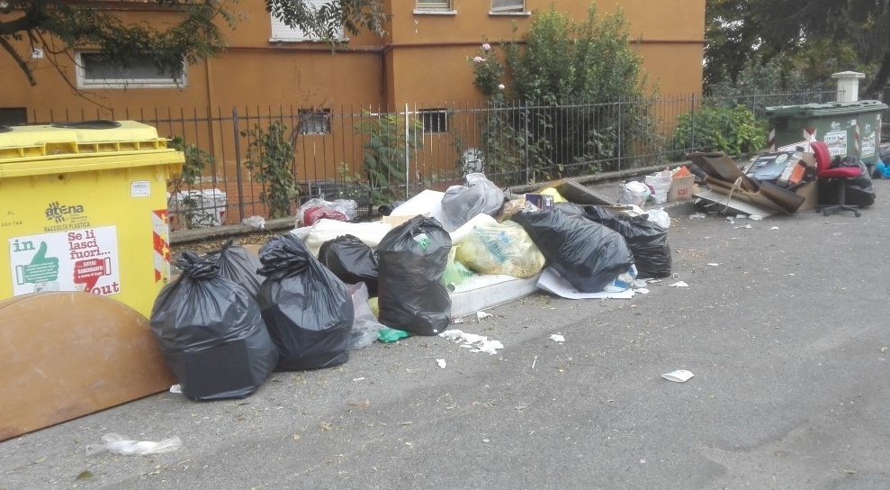 VERCELLI: Ripulita la discarica in via Zambeccari