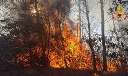 Revocato lo stato di massima pericolosità incendi boschivi in Piemonte