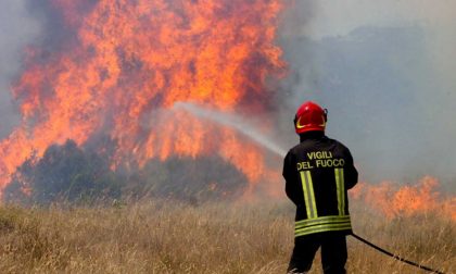 Incendio boschivo sopra Gattinara