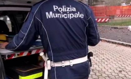 Bilancio 2021 Polizia Locale Vercelli: colpite quasi 16.000 infrazioni stradali e intensa attività