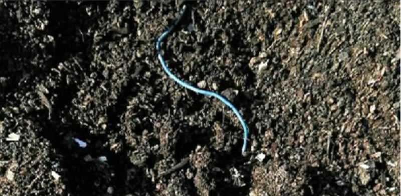 Plastiche sospette nel compost