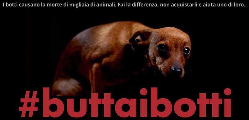 Botti di Capodanno consigli per gli animali