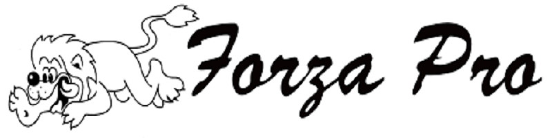 Trasferta Venezia con il Club Forza Pro