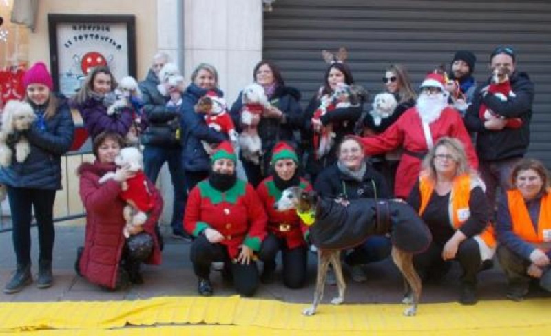Cani in passerella per il Natale di Santhià