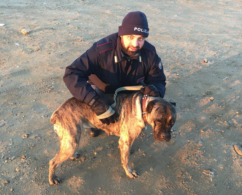 Salvataggio natalizio cane recuperato dalla Polizia