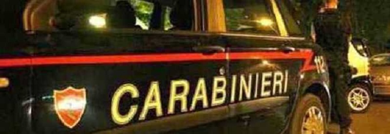 Giovane denunciata per aver rubato due fioriere