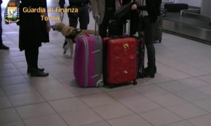 Soldi negli assorbenti ecco gli spalloni 2.0