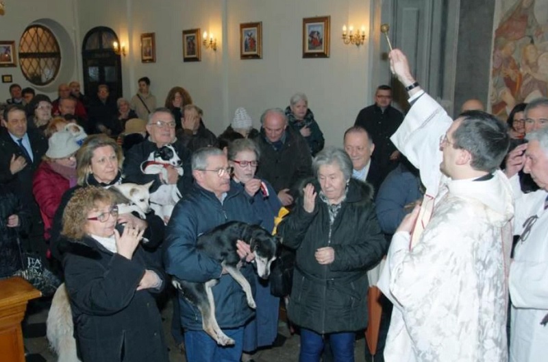 Benedizione animali la Festa di S. Antonio Abate