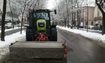 Freddo e neve Coldiretti teme danni alle coltivazioni