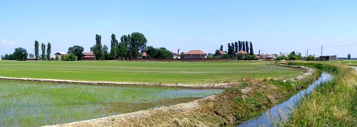 Fusione Sali per Siamo Vercelli mancano informazioni