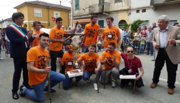 Corsa dei Buoi: cronaca e curiosità
