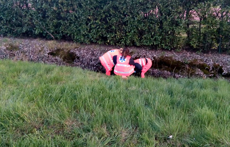 Malore improvviso: 80enne cade nel fosso