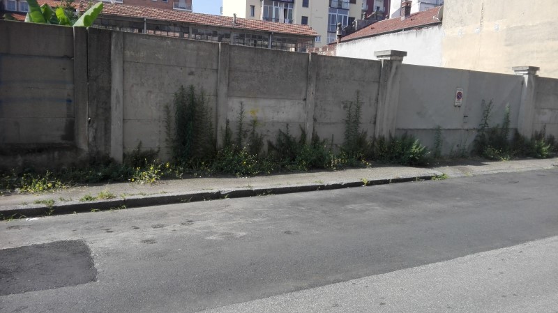 Giungla in città: la situazione di via Aosta