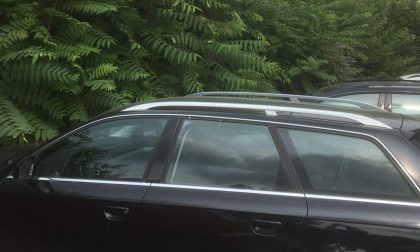 Foresta nel parcheggio Garrone